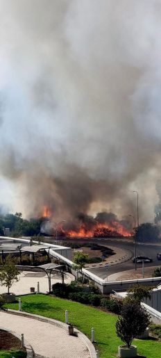 צילום כב"ה