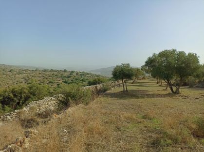 סכנת נפלים בשמורות טבע ובגנים לאומיים