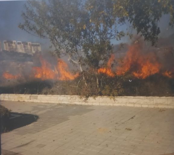 צילום: זיו אקווה דוברות כיבוי אש