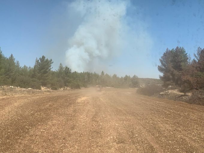 שריפה ביער עדולם צילום: כיבוי אש