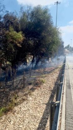 שליטה על שריפת קוצים בסמוך למחלף לטרון