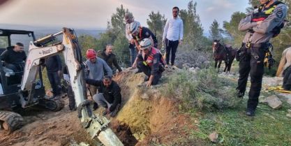 חילוץ מבור: לוחמי האש פועלים לחילוץ סוס סמוך לבית מאיר