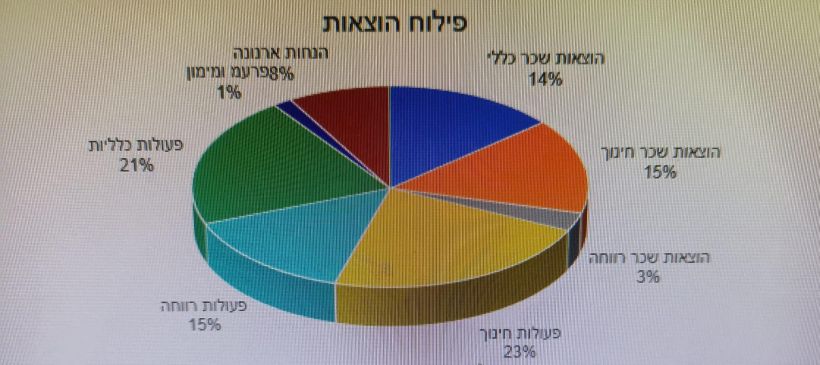 פילוח הוצאות